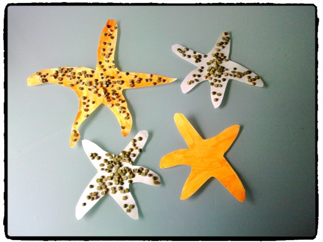 Des étoiles de mer