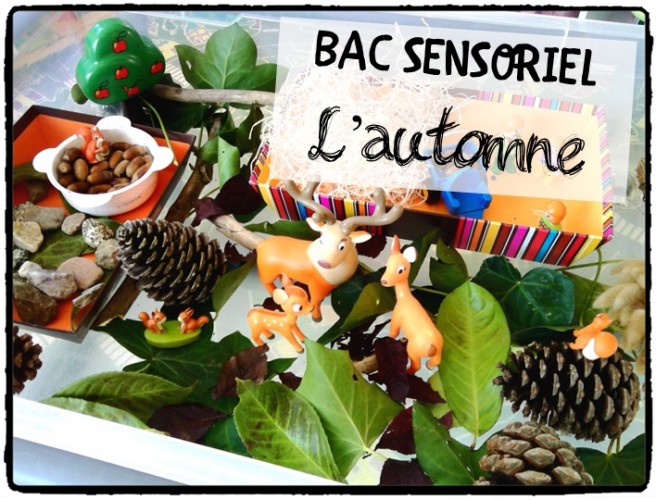 Bac sensoriel d'automne #1