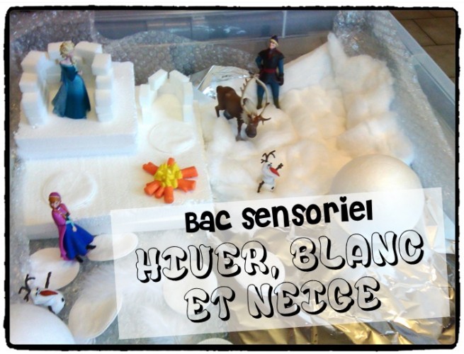 Bac sensoriel : l'hiver, le blanc, la neige
