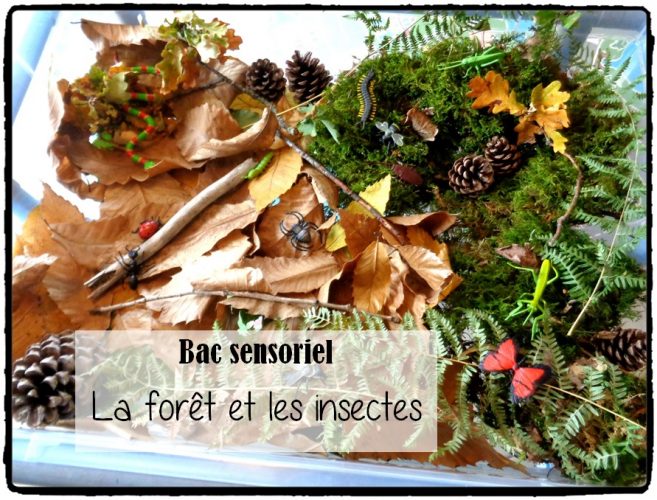 Bac sensoriel : la forêt et les insectes