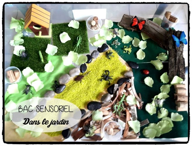 Bac sensoriel : dans le jardin