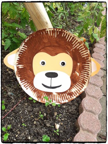 Nos singes en assiette en carton
