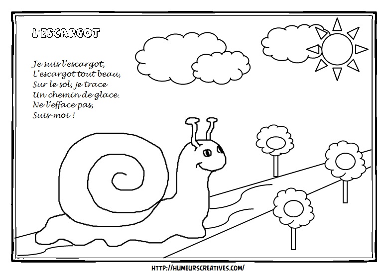 Illustration l'escargot