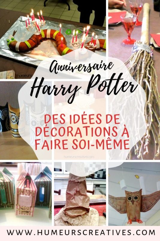 96 idées de Hedwige Harry Potter  harry potter, dessin harry potter, harry  potter fan art