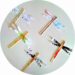 Bricolage pour enfants : libellule fabriquée avec des batonnets en bois
