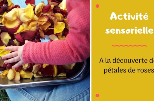 activité sensorielle pour enfants : mini bac avec des pétales de roses et collage fleuri