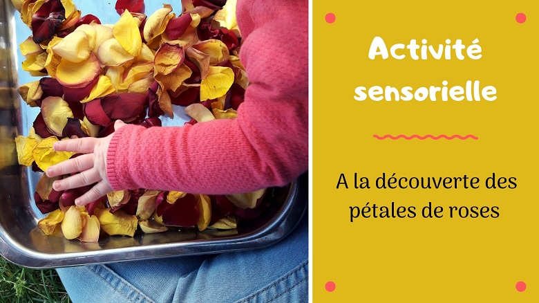 activité sensorielle pour enfants : mini bac avec des pétales de roses et collage fleuri
