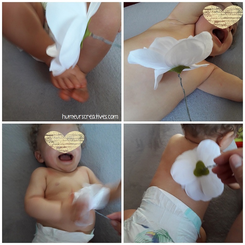 activité sensoriel bébé : caresse avec une fleur