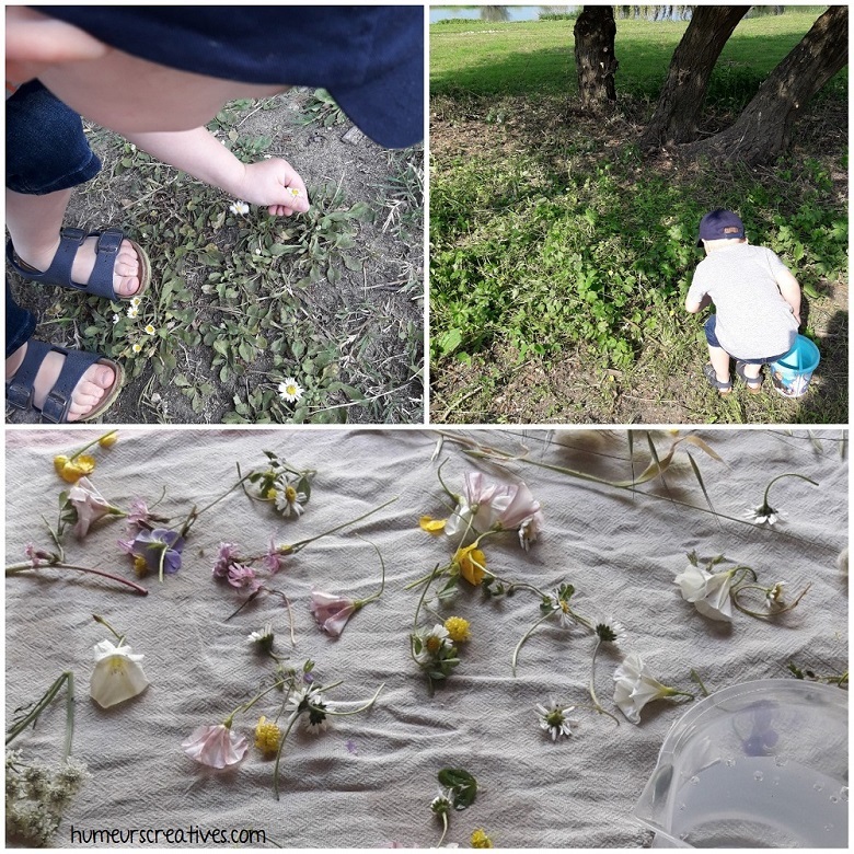 ramassage de fleurs avec les enfants