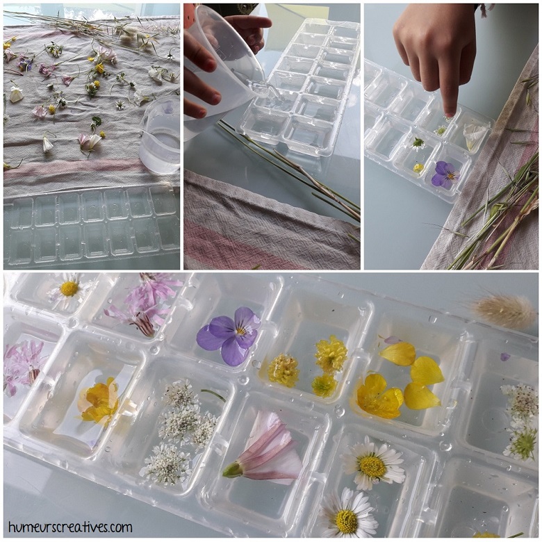 préparation des fleurs à mettre dans le bac à glaçons