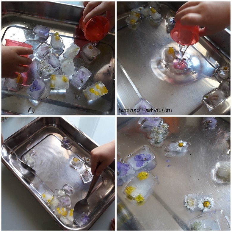 les enfants libèrent les fleurs des glaçons avec de l'eau