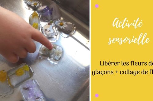 Activité sensorielle et créative pour enfants : libérer les fleurs des glaçons et collage de fleurs pour réaliser un tableau champêtre
