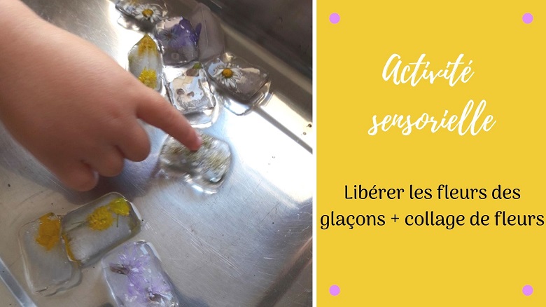 Activité sensorielle et créative pour enfants : libérer les fleurs des glaçons et collage de fleurs pour réaliser un tableau champêtre