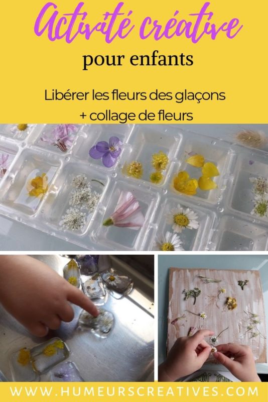Activité créative et sensorielle pour enfants : libérer les fleurs des glaçons et collage de fleurs pour réaliser un tableau champêtre