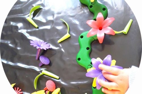 jeu créer bouquets de fleurs pour les enfants