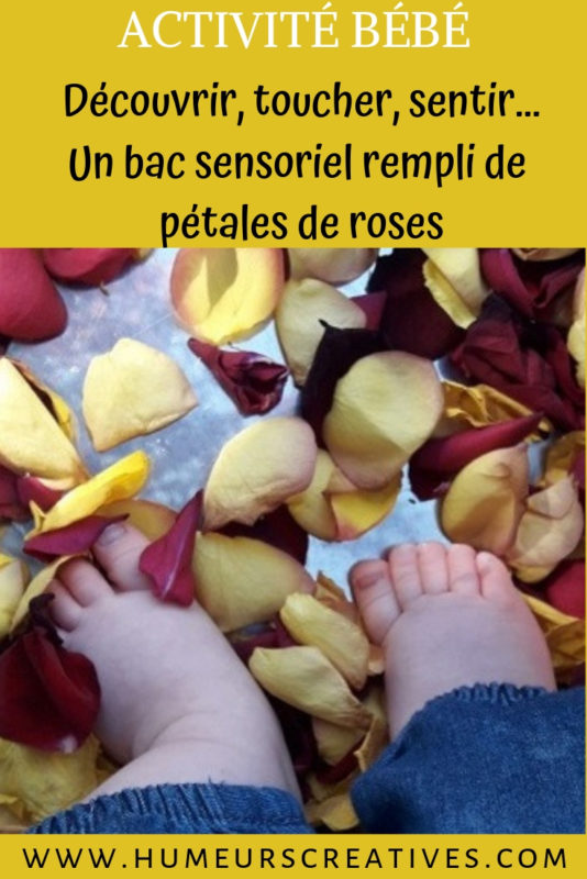 activité sensorielle pour enfants avec des pétales de rose