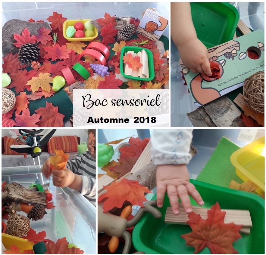 Bac sensoriel - thème AUTOMNE – Your DIY factory