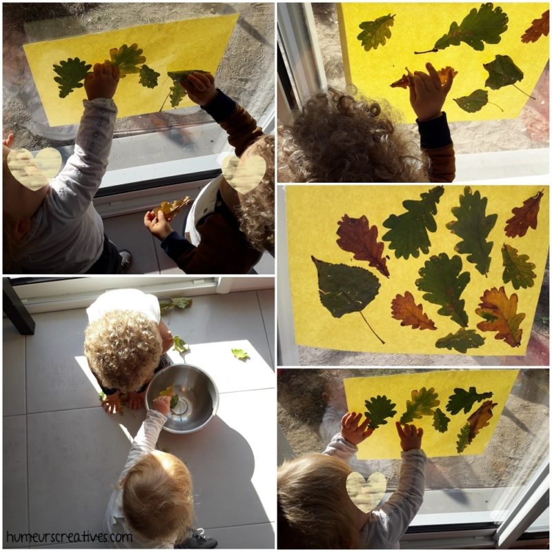 découverte et manipulation des feuilles d'automne + collage sur papier autocollant installé sur la fenêtre