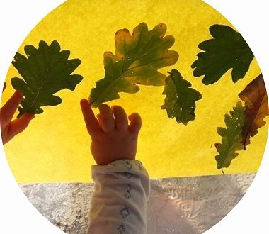activités d'automne pour les enfants : collage de feuilles d'automne sur fenetre