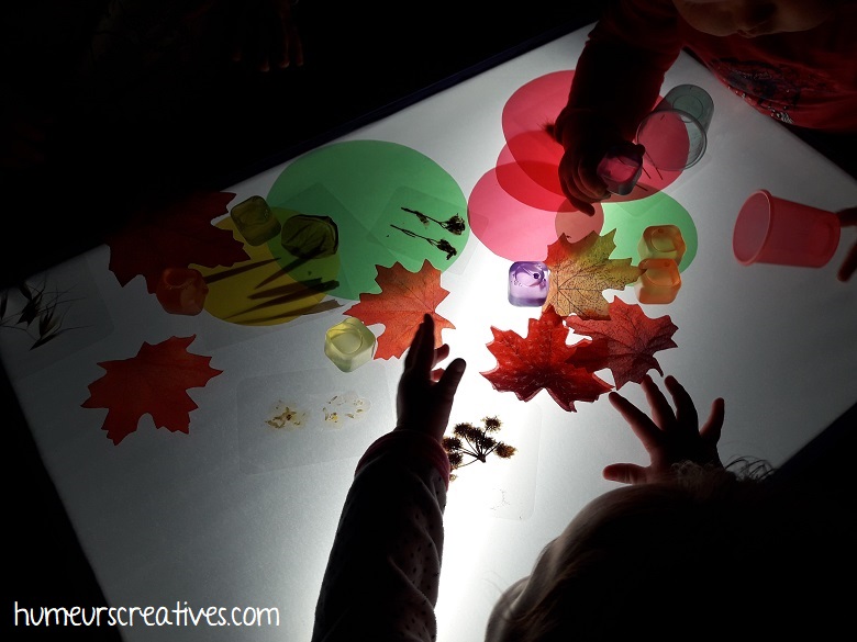 Activité d'automne pour enfants sur la table lumineuse