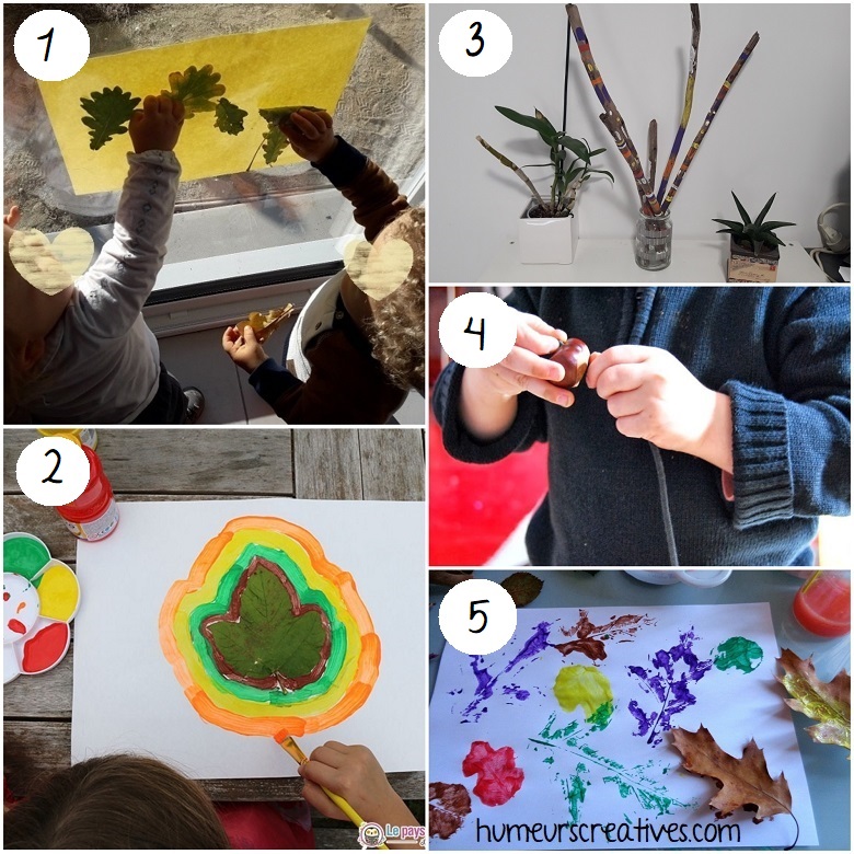 20 activités avec des feuilles d'arbre pour les enfants