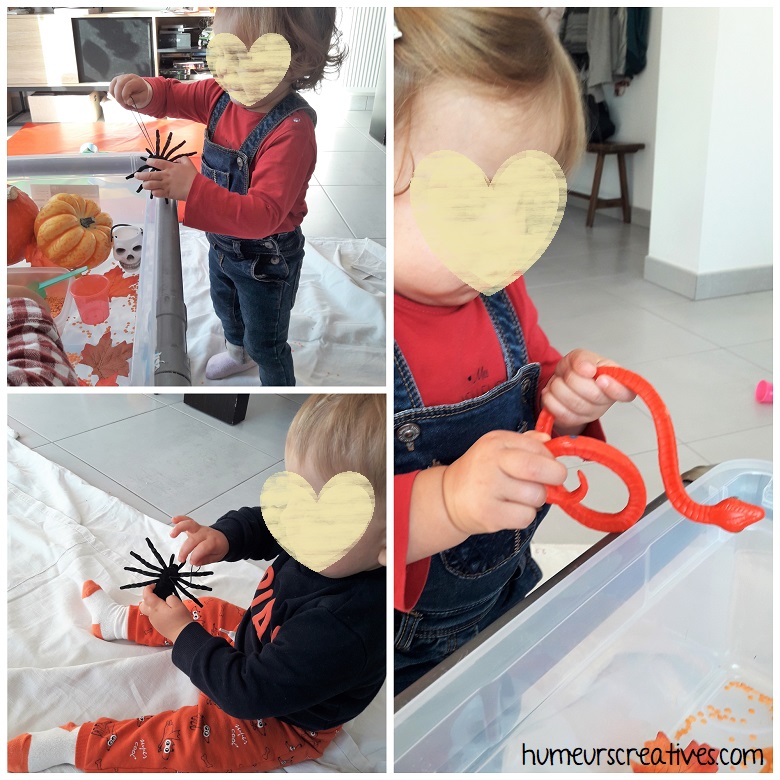 bac sensoriel Halloween pour les enfants - découverte des araignées et serpents