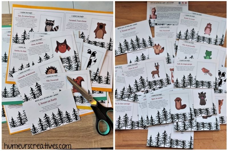 25 cartes sur les animaux de la forêt